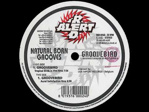 Natural Born Grooves - Groovebird (Tropical Birds In Ffm Rmx)