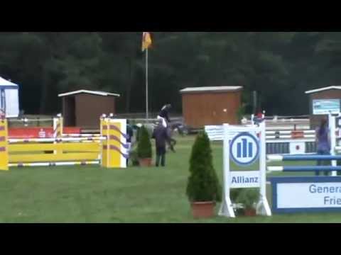 2008 stallion by Contagio x Grannus