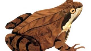 Lindstrøm & Prins Thomas - Sykkelsesong (Goa Club Live)