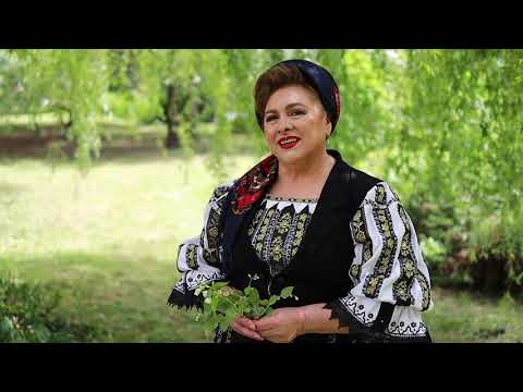 Nineta Popa Ionescu  - Anii tinereții au trecut VIDEOCLIP OFICIAL  2020