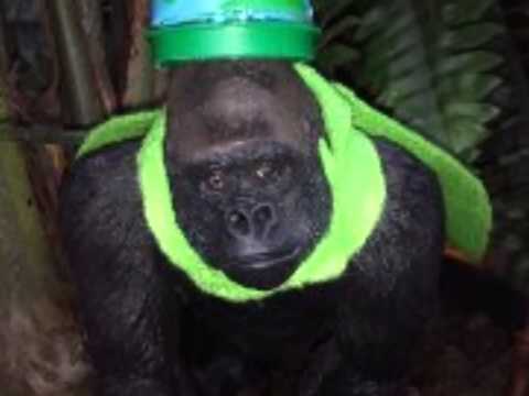 Storyboard Mr.Ener-G