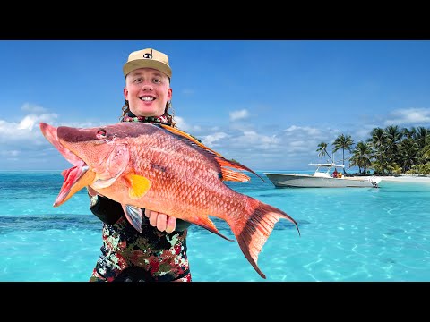 This Is Why Bahamas Spearfishing Is Unmatched (3-Day Bender)