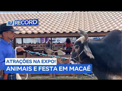 Muitas atrações e exposição de animais movimentam a Expo Macaé no Parque de Exposições
