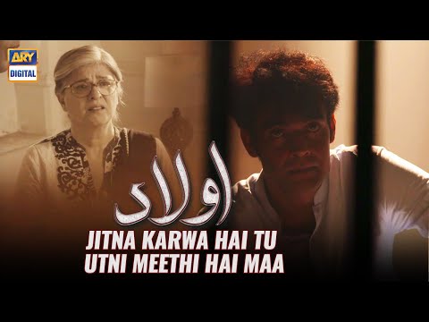 Aulaad Episode 23 | BEST SCENE | Hassan Niazi, & Sunita Marshal |