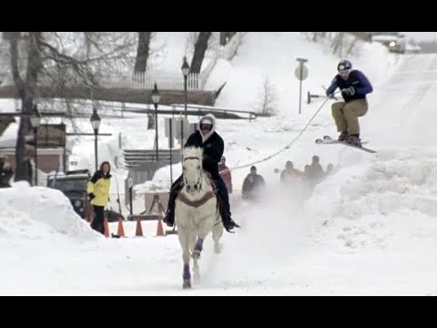 Skijoring: Where You Get Pulled By Horses in the Snow