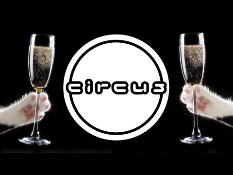 Doctor P - The Champagne Böp #TBT
