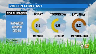 Allergy Sufferers, Get Ready; Pollen Count Expected To Jump As We Approach The Weekend