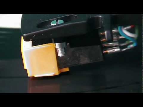 ABBA Sitting in the palmtree