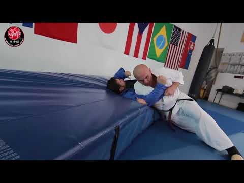 Goran's Karate Dojo - Throwing Techniques