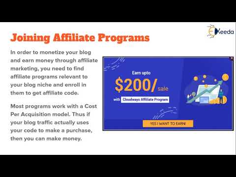 The Ultimate Guide To Blogging Everything You Need To Know