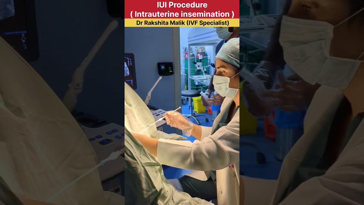 Intrauterine Insemination procedure by Dr Rakshita Malik, IUI Procedure #iui #iuitreatment #doctor