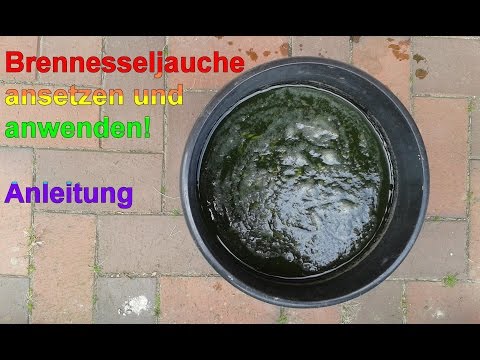 Making nettle manure – make your own natural fertilizer / DIY nettle liquid fertilizer