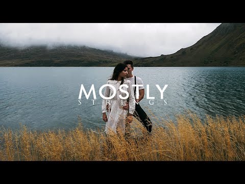 Racoon Racoon - Heal