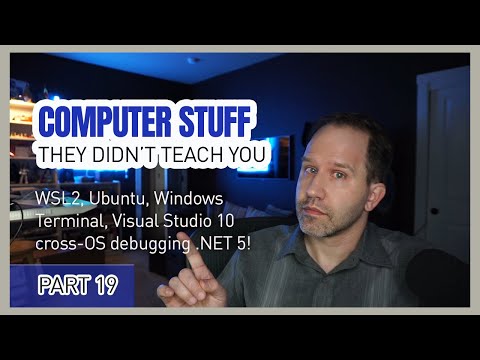 WSL2, Visual Studio Code, Windows 10, Ubuntu/Linux + more