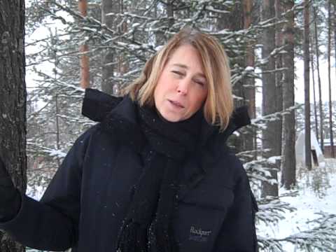 Film Arc Newsletter November