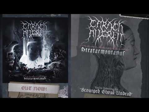 Video thumbnail for Scourged Ghoul Undead