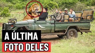 5 Mortes Mais Perturbadoras Durante Safáris de Vida Selvagem
