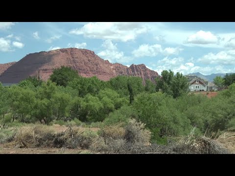 Back on the block? Proposal to sell off southern Utah land may ...