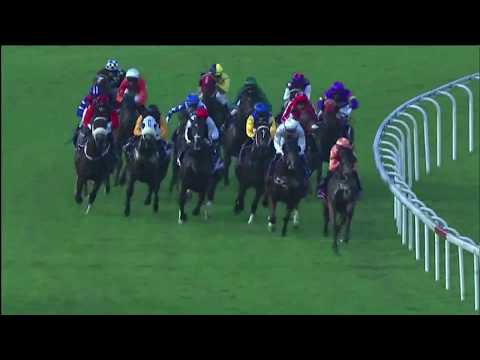 QUEEN ELIZABETH II CUP / STEWARDS CUP