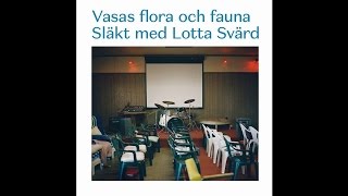 Vasas flora och fauna - Leevi & The Leavings (Official Audio)