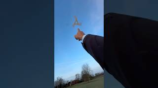 Download lagu One finger boomerang catch! mp3