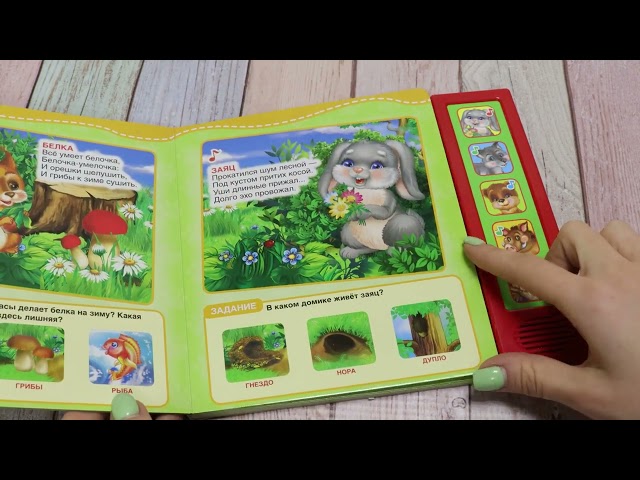 Книга Лесные животные озвученная Степанов В. - видео