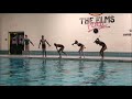 TEAM OLYMPIUM 13 15 NIght Of The Wolf Mp4 1920