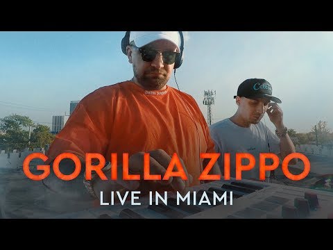 Gorilla Zippo - Live in Miami