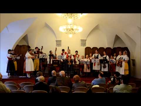 Muzičky 2013 podruhé - Muzičky společně - Když sem já šla kolem hájka