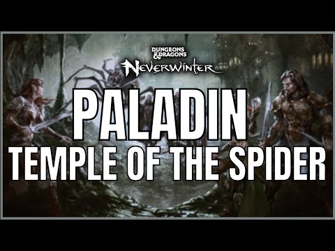 My Oathkeeper Paladin's First Master Temple of the Spider Run