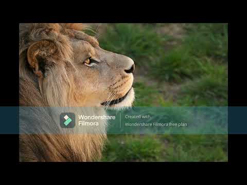 DJ Ian D   Heartbeat