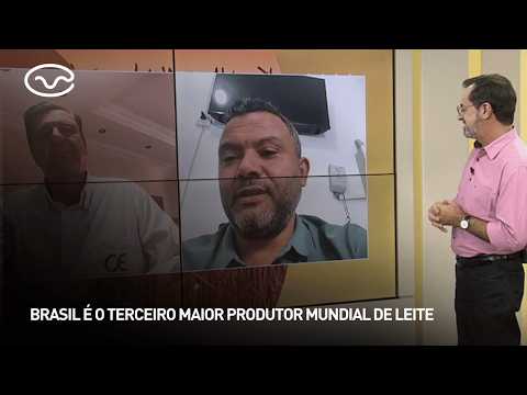 Brasil é o terceiro maior produtor mundial de leite