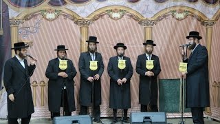 מקהלת 'מלכות' בביצוע ווקאלי מרגש: "ישועות אצל רבי שמעון" | Malchus Choir - Kedai Hi Rabi Shimon