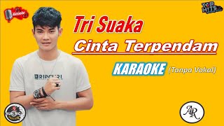 Download lagu Tri Suaka ~ Cinta Terpendam ~ Karaoke Version (Tanpa Vokal) HD Quality mp3