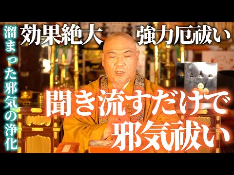 テンを家や車から追い出す 自然と動物