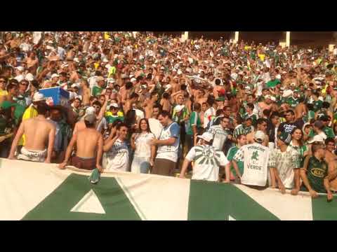 A taça libertadores é uma obsessão + gol - Torcida do Palmeiras