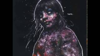 Pig Destroyer  -  Painter Of Dead Girls (Full split) 2003