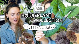 Stuff's HAPPENING. October Houseplant Updates 🎃🌱
