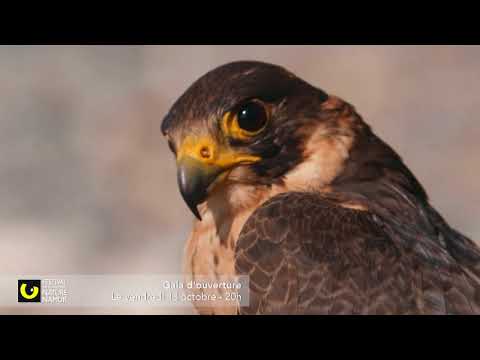 La plus belle ville du monde | FINN 2017