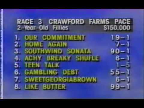 1994 Yonkers Raceway TEEN TALK NYSS Final 2YO Fillies Pace
