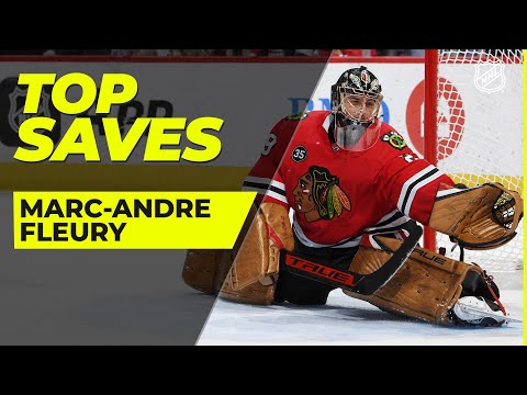Fourteen Minutes of Marc-Andre Fleury Saves
