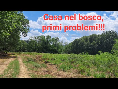 Iniziano i preparativi per la nostra casa di legno, primi problemi - parte 1