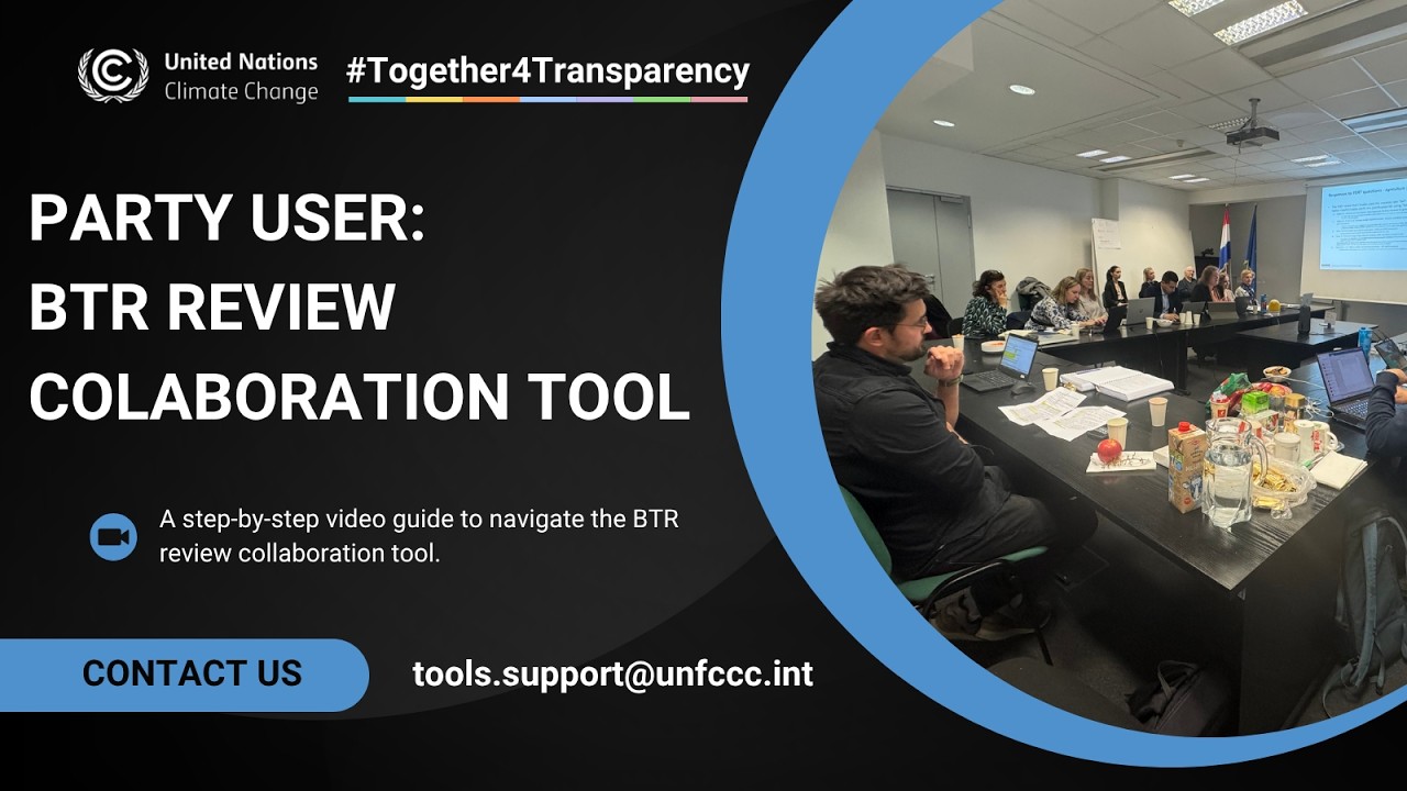 Party User: Navigating the BTR Review Collaboration Tool