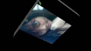 Download lagu Cassanova-Jika Saja Bisa mp3