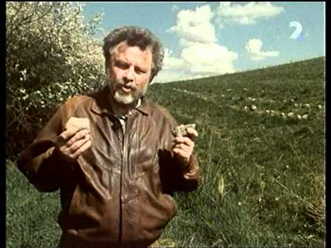 STOPY DÁVNEJ MINULOSTI - Poklad byzantského kupca (2. časť)