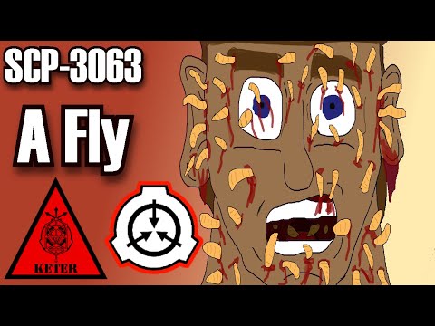 SCP Decoded Reading: SCP-3063 A fly