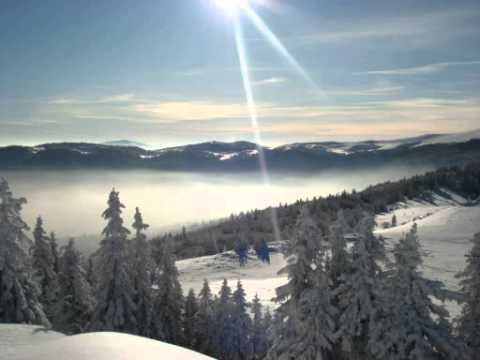 ZDRAVKO ČURIĆ POD RADUŠOM IZVORNA