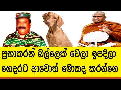 ප්‍රභාකරන් බල්ලෙක් වෙලා ඉපදිලා ගෙදරට ආවොත් මොකද කරන්නෙ | Walpola Gothama Himi Sinhala Budu Bana