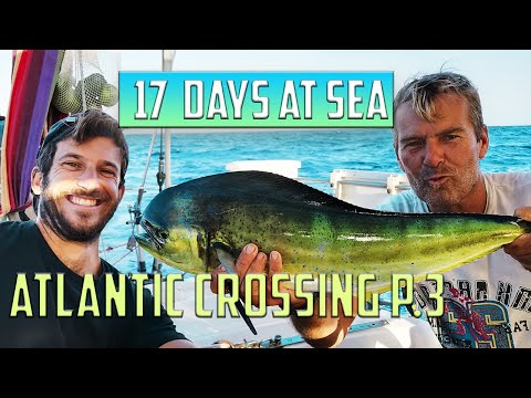 We sailed from Africa to America - Atlantic Crossing Sailing adventure pt. 3
