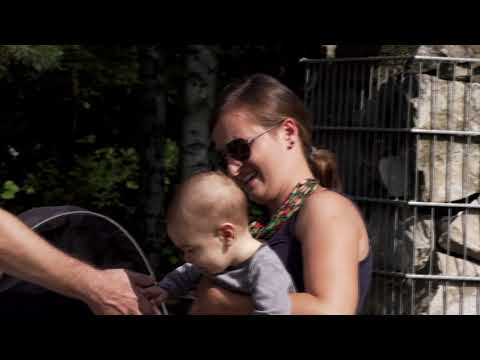 Warszawa + Żydzi + Jęzor Wiecha Cmentarz żydowski Bródno. ENGLISH